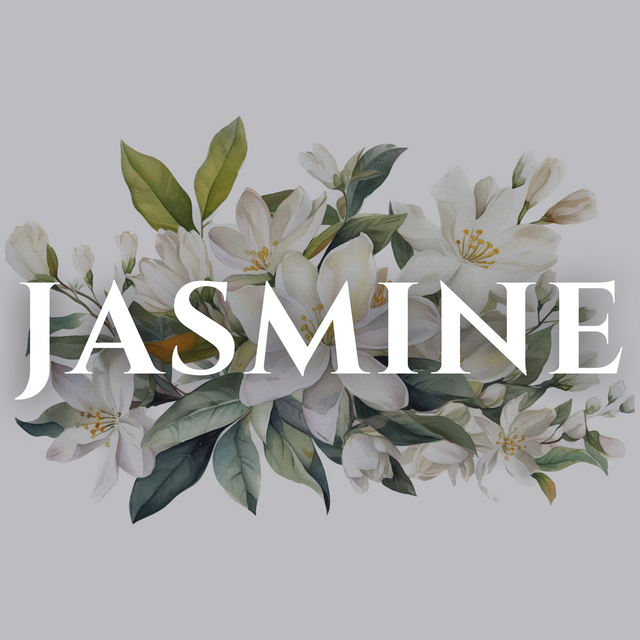 Jasmine