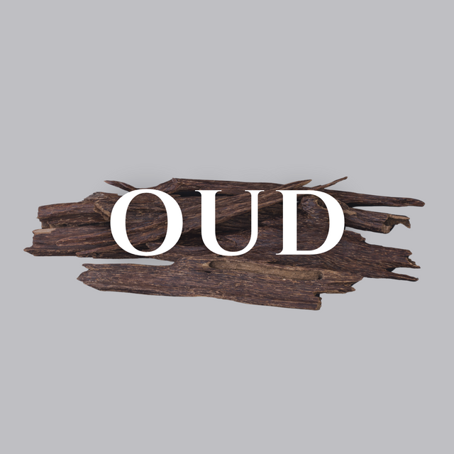 Oud