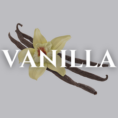 Collection image for: Vanilla
