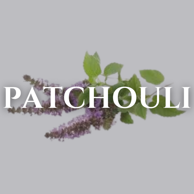 Patchouli