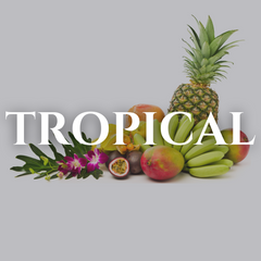 Collection image for: Tropical