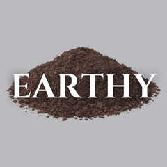 Collection image for: Earthy