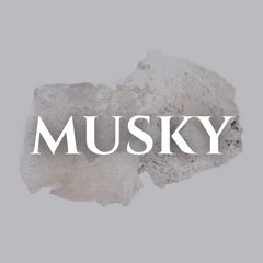 Collection image for: Musky