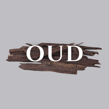 Oud