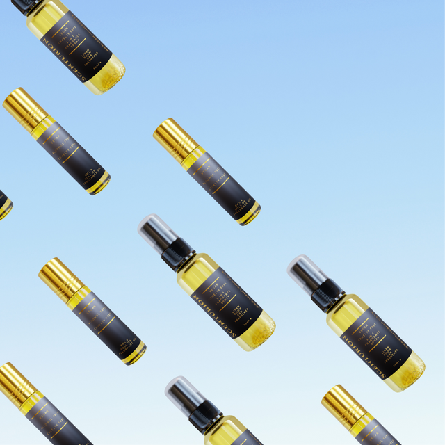 <h1><em><strong>NEW FOR 2025</strong></em></h1>